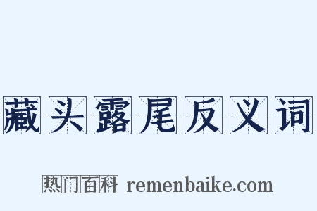 藏头露尾反义词是什么意思的图片